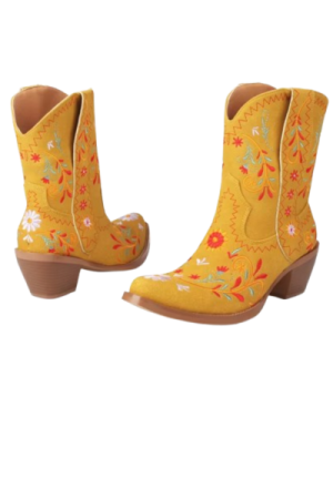 Bottes cowboy femme Daim étanche- image principale - chic botte femme