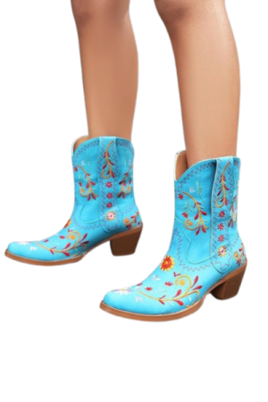 Bottes cowboy femme Daim - image principale - chic botte femme