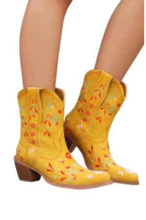 Bottes cowboy femme Daim allongée - image descriptive1 - chic botte femme