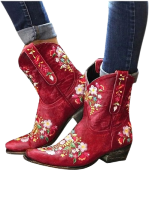 Bottes cowboy femme Daim Rouge 11-14- image principale - chic botte femme
