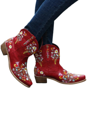 Bottes cowboy femme Daim - image principale - chic botte femme
