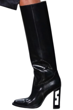 Bottes femme cuir noir Très souple - image principale - chic bottes femme