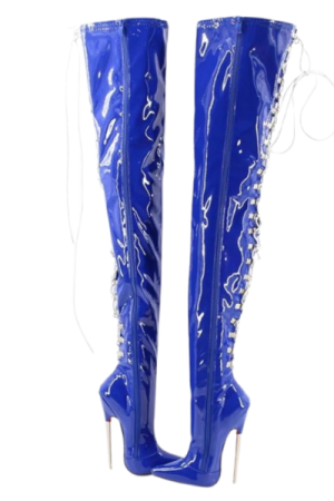 Talon aiguille botte bout pointu - image principale - chic bottes femme